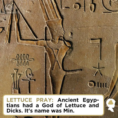LETTUCE PRAY Harebrained